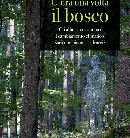? C'era una volta il bosco. Gli alberi raccontano il cambiamento climatico: sarà una pianta a salvarci?
