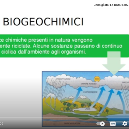? CICLI BIOGEOCHIMICI: Ciclo dell'Acqua, Ciclo del Carbonio, Ciclo dell'Azoto