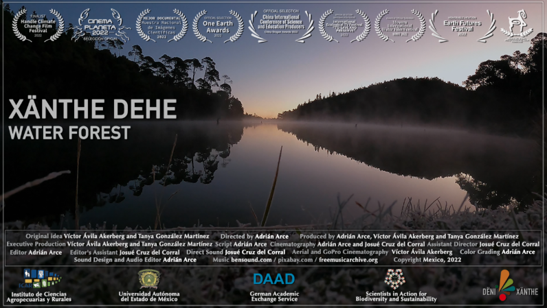 ? Xänthe Dehe (Water Forest)