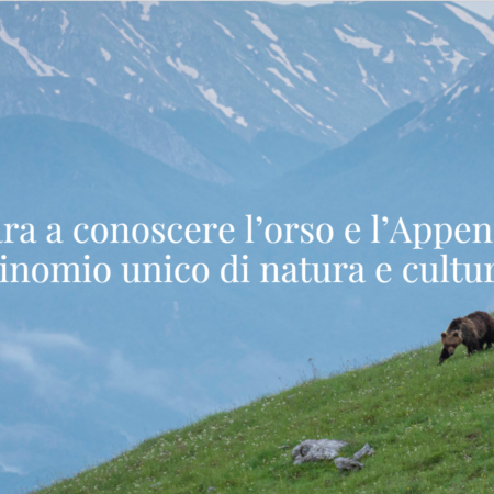 ?‍??   L'orso e la formica