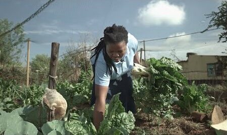 ? Not On Our Soil - A Climate Justice Reality: Feature Film