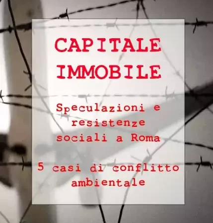 ?‍??  Capitale Immobile