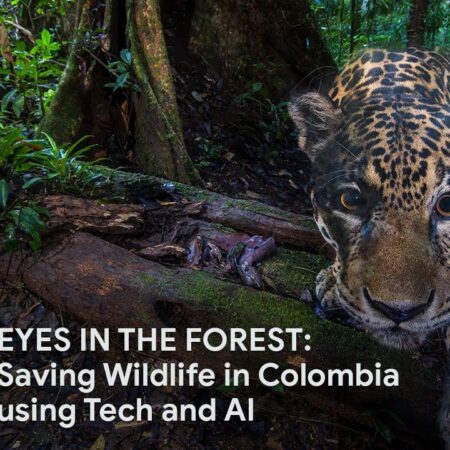? Eyes in the Forest