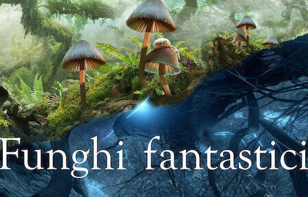? Funghi Fantastici