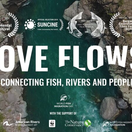 ? LOVE FLOWS
