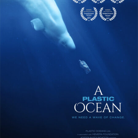? A Plastic Ocean