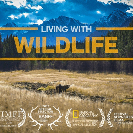 ? Living with Wildlife